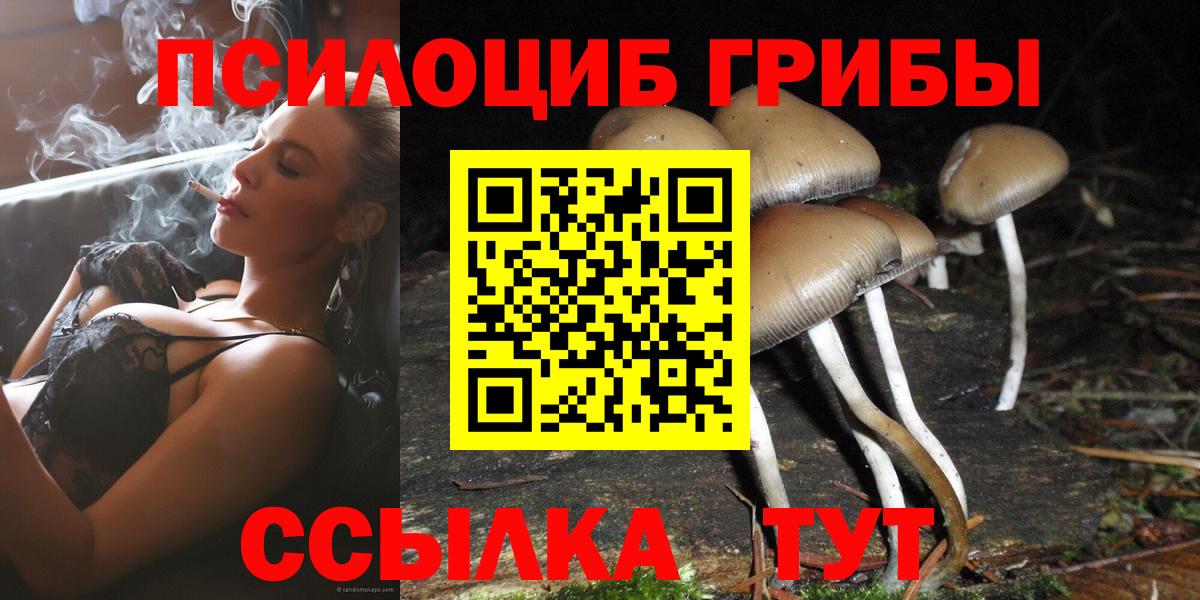 Чита  Псилоцибиновые грибы MAGIC MUSHROOMS  Вход с VPN 